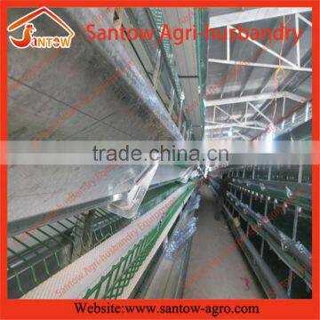 Sales promotion Cheap layer poultry farms