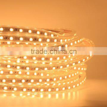 Hot sell DC 12V 60led/m Waterproof 5050 SMD led strip light SL-D1