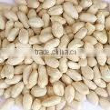 blanched peanuts kernel 29/33