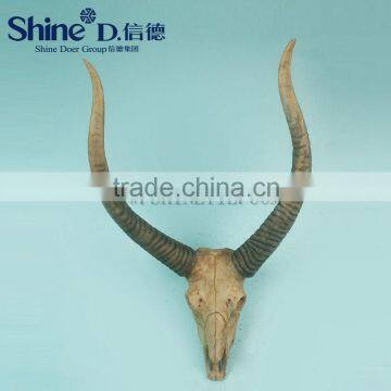 Natural Bull skull head decoration trophy w horns wall ornament