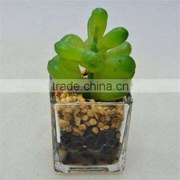 New Product Wedding Decoration Artificial Plant with Little Glass pot