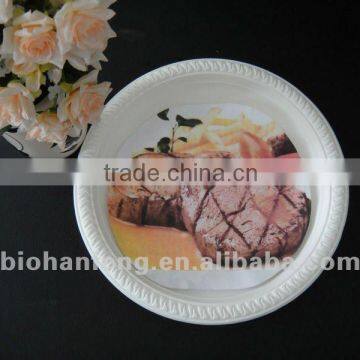 Biodegradable Plates (starch,tapioca)