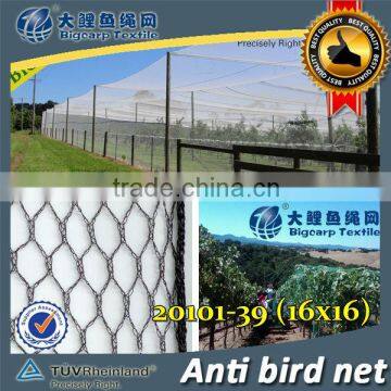 (20 years factory) hot selling ,2013 New arrival, low cost white vine netting on grapes , 39 GSM / 20101-39