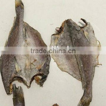 new wholesale dried brown croaker fish