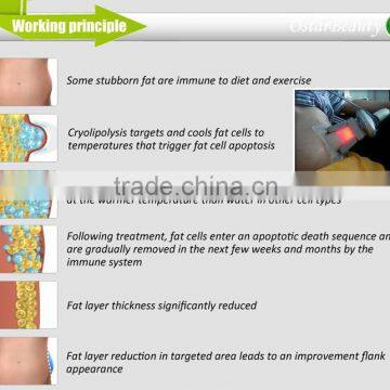 (4 CRYO Handles) Fat Freeze Liposuction Cryolipolysis Equipment photo-6
