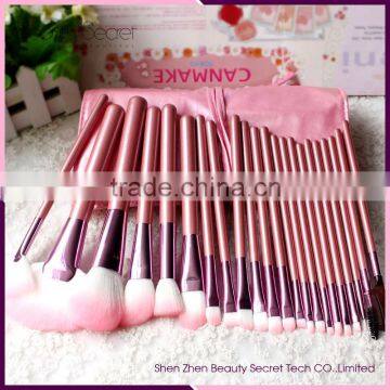 22pcs Professional Beauty Needs Cosmetic Makeup Brush Set with Pink Bag