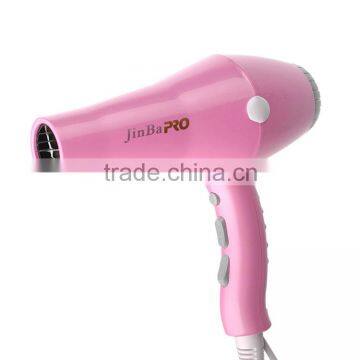 Professional DC Motor AC Motor Hair Dryer