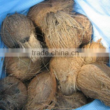 Best Quality Brown Coconuts