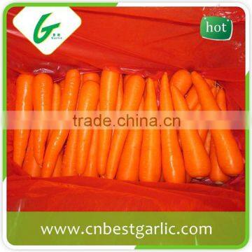 Import bulk carrots