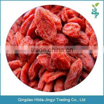 High quality goji berry suppliers from china