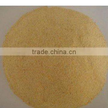 Dried Gralic Powder