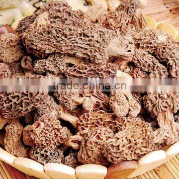 High Quality Dried Morels photo-3