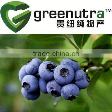 Blueberry Extract Anthocyanins