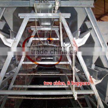 TAIYU Kenya Poultry Farm Automatic Chicken Lay