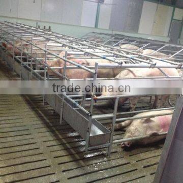 2017 Good Quality Stocked Crates Farrowing Crates for Pigs photo-6