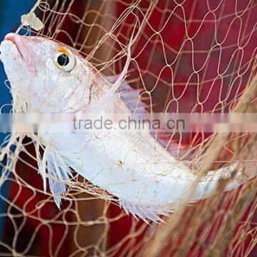 multifilament fishing nets