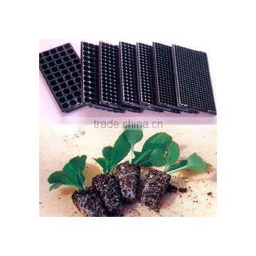 BK Trough Hydroponics photo-3