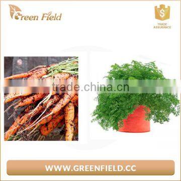 black fabric growing bags felt greenhouse grow bag