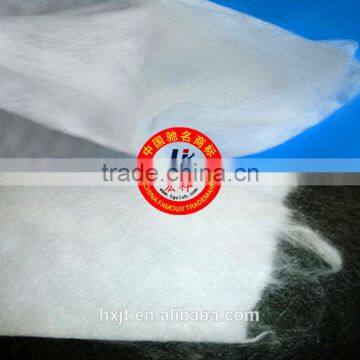 600g For Reservoir and Dam Continuous Filament Needle Punched Non Woven Geotextile photo-5