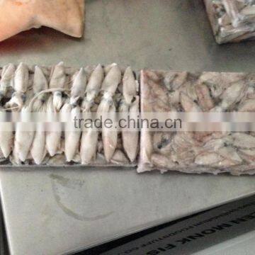 2015 Baby Squid photo-4