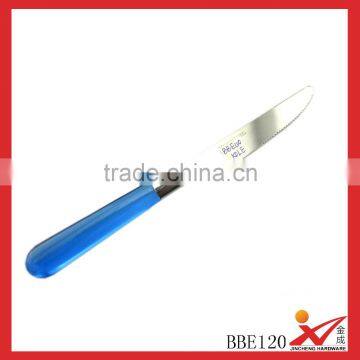 blue transparent steak knife BBE120 stainless steel