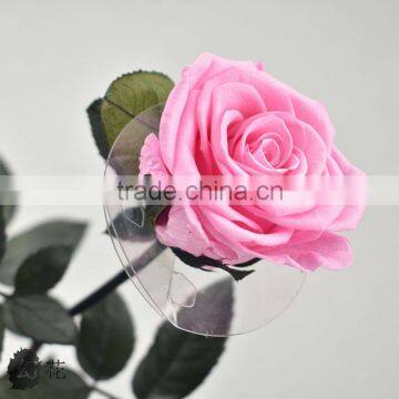 Forever Love Gift Box Artificial Rose Flower Preserved Fresh Flower photo-5