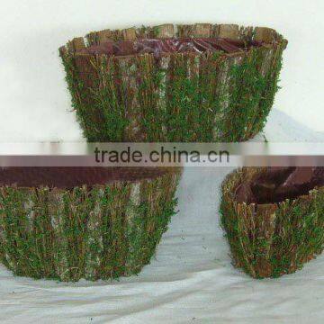 moss basket set