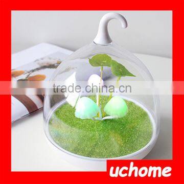 UCHOME Mushroom LED Night Light Change Color Table Lamp 3 LED Rechargeable Light With USB Line Bedroom Creative Baby Light photo-5