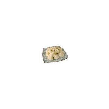 IQF Fresh Frozen Foods