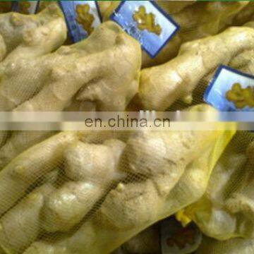 Net Bag Package Ginger Mesh Bag Packing Machine Self-automatic Net Bag Packing Machine photo-3