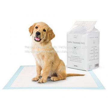 Factory Direct Wholesale Puppy Pee Pads Dog Training Pad Pet Training Urine Pad