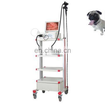 Automatic white balance adjustment LED lamp video endoscopy equipment for veterinary