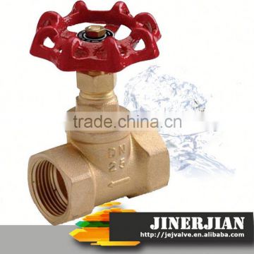 BV approved forged steel y type globe valve