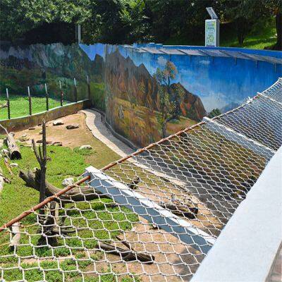 Supply Strong and Strong Parrot Fence, Zoo Parrot Fence photo-2