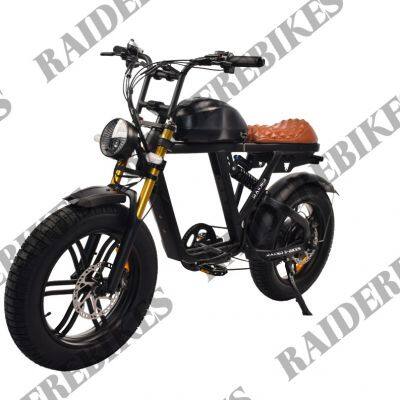 Factory Direct Supply 20 Inch Fat Tire Adult Electric Folding Bike Electric Bicycles photo-3
