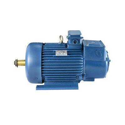 National Standard Class 1 of Ye5 Series, Wannan Electric Motor, Ye5-315s M-8/55kw 75kw/660v/b3/ip65/b3/b35/b5, Customization Available