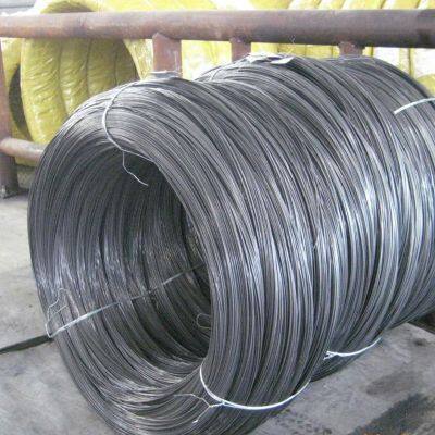 0.15mm-3mm Hot Selling Cold Drawing 316 Stainless Steel Spring Wire for Welded Mesh Fence