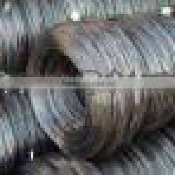 Wire Factory , 10 Years photo-1