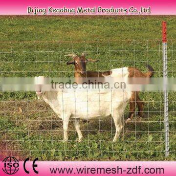 hinge joint knot galvanized goat fence