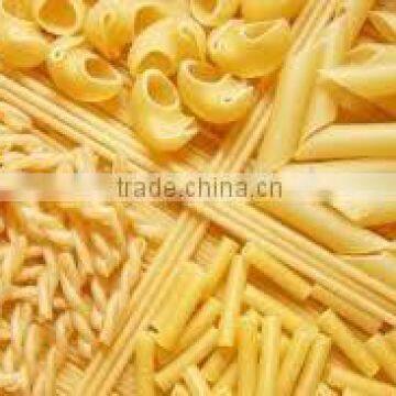 Automatic Pasta Machine Italy photo-4