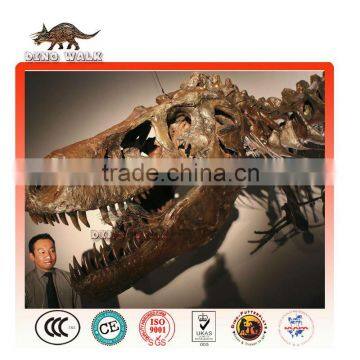 Dinosaur King Fossil Replica Dinosaur Head Fossil