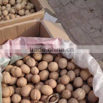 Favorable price of whole walnuts in shell