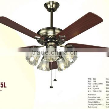 Ceilng Lamp Fans