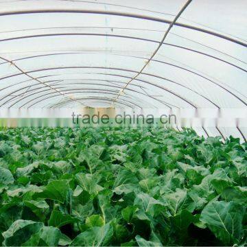 LDPE uv- protection plastic greenhouse films                        
                                                Quality Choice