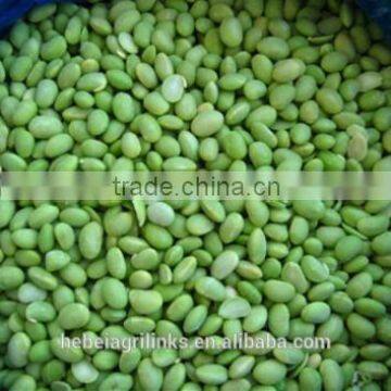 Frozen soyabean kernels