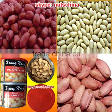 Chinese Blanched Peanut Kernels 25/29 (VIRGINIA TYPE)