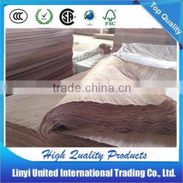 Rotary cut PLB wood veneer