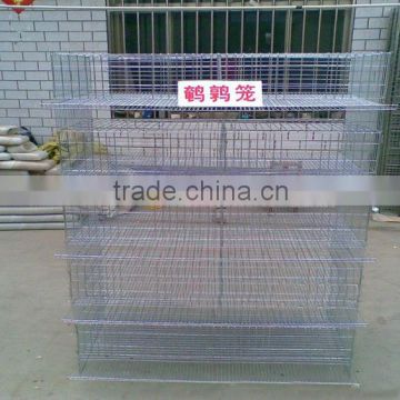 Cheap price layer quail cage for sale