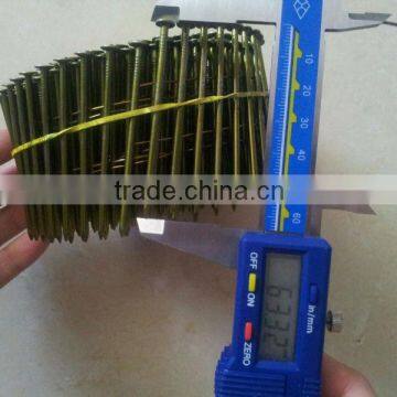 Coil Nail Manufacturer photo-3