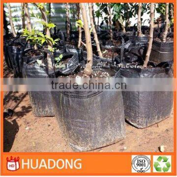 agriculture use pp grow bags, pp grow bags